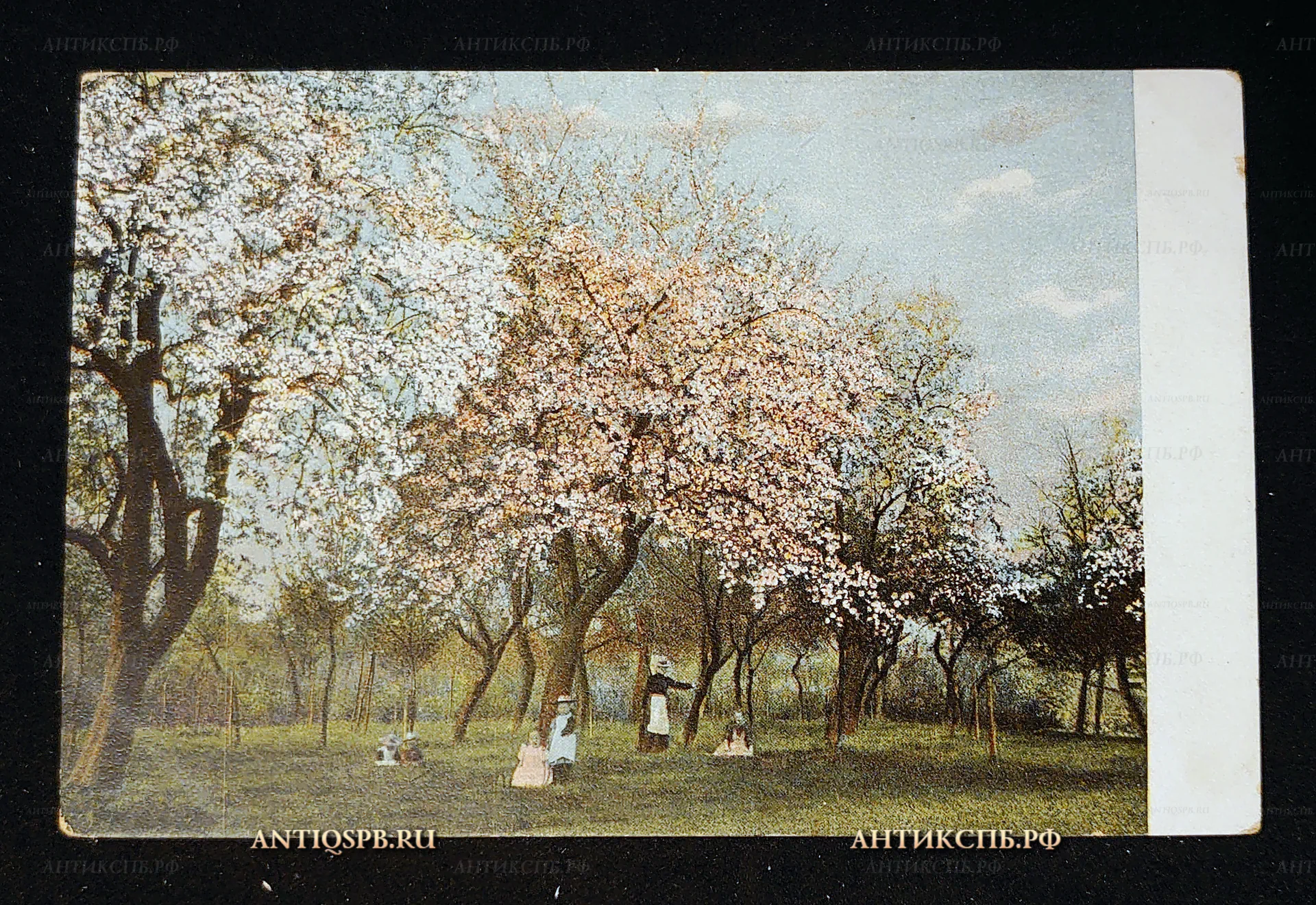 Открытка старинная "Дети в саду, Яблоневый сад". Весна. Нач. ХХ века. №7585
